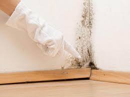 Best Mold Prevention Services  in Eagle Pass, TX